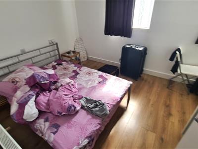 Picture 15